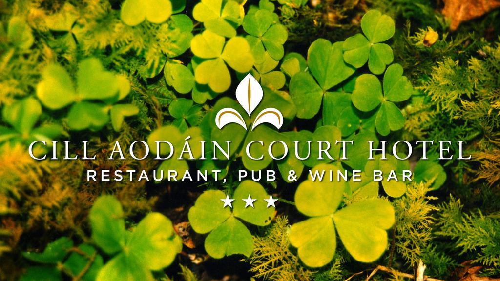 Cill Aodain Court Hotel Kiltimagh Bilik gambar